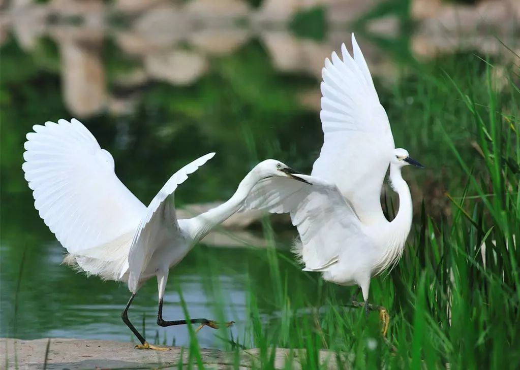 0fe364aa6b0e4681a622388e72ac83c8 - 副本 0fe364aa6b0e4681a622388e72ac83c8 - 副本